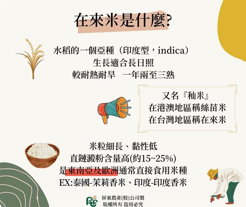 屏東農產股份有限公司專欄系列【米知道嗎】CH.2